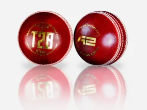 Adult Cricket Balls