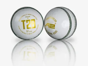 Junior Cricket Balls